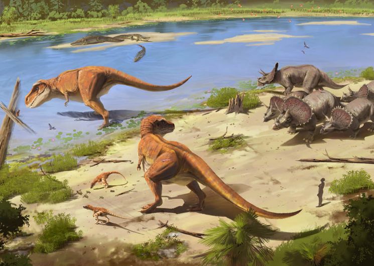EXPOSITION : LA SCIENCE À LA RENCONTRE DES MONDES PERDUS