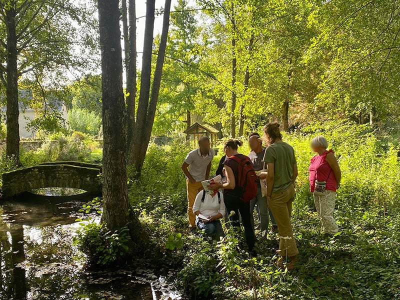 Balade nature : découverte des plantes sauvages à Tours