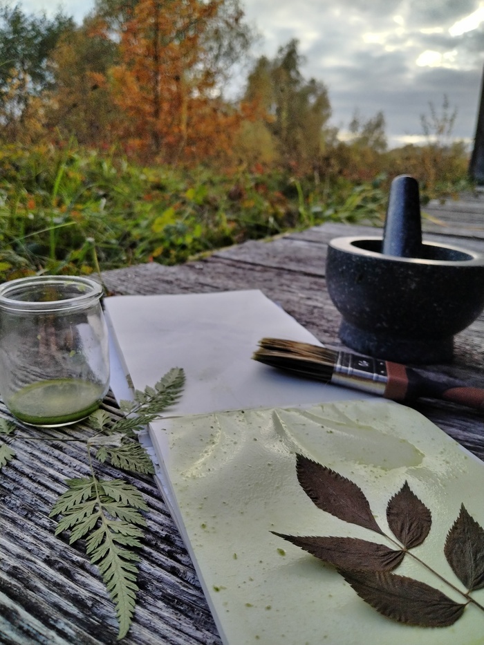 Anthotype : initiation à la photographie végétale