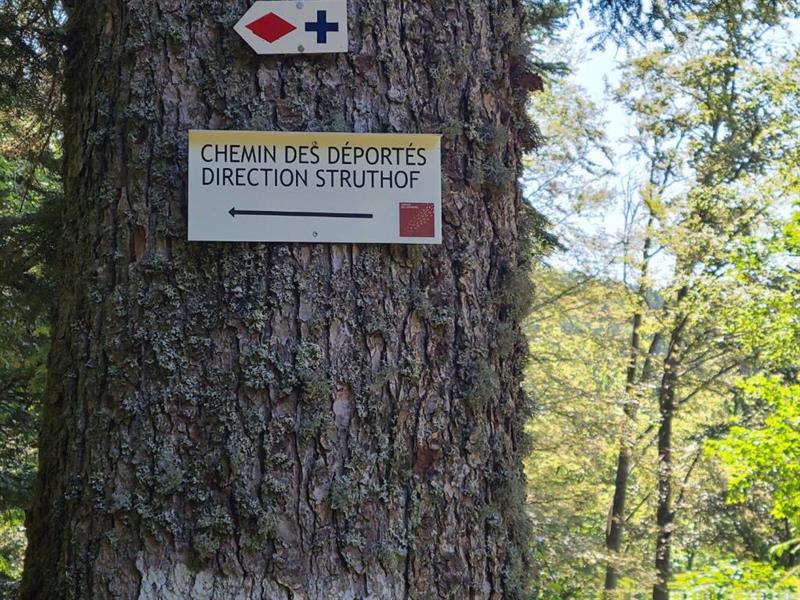 Sentiers Plaisir : Le chemin des déportés