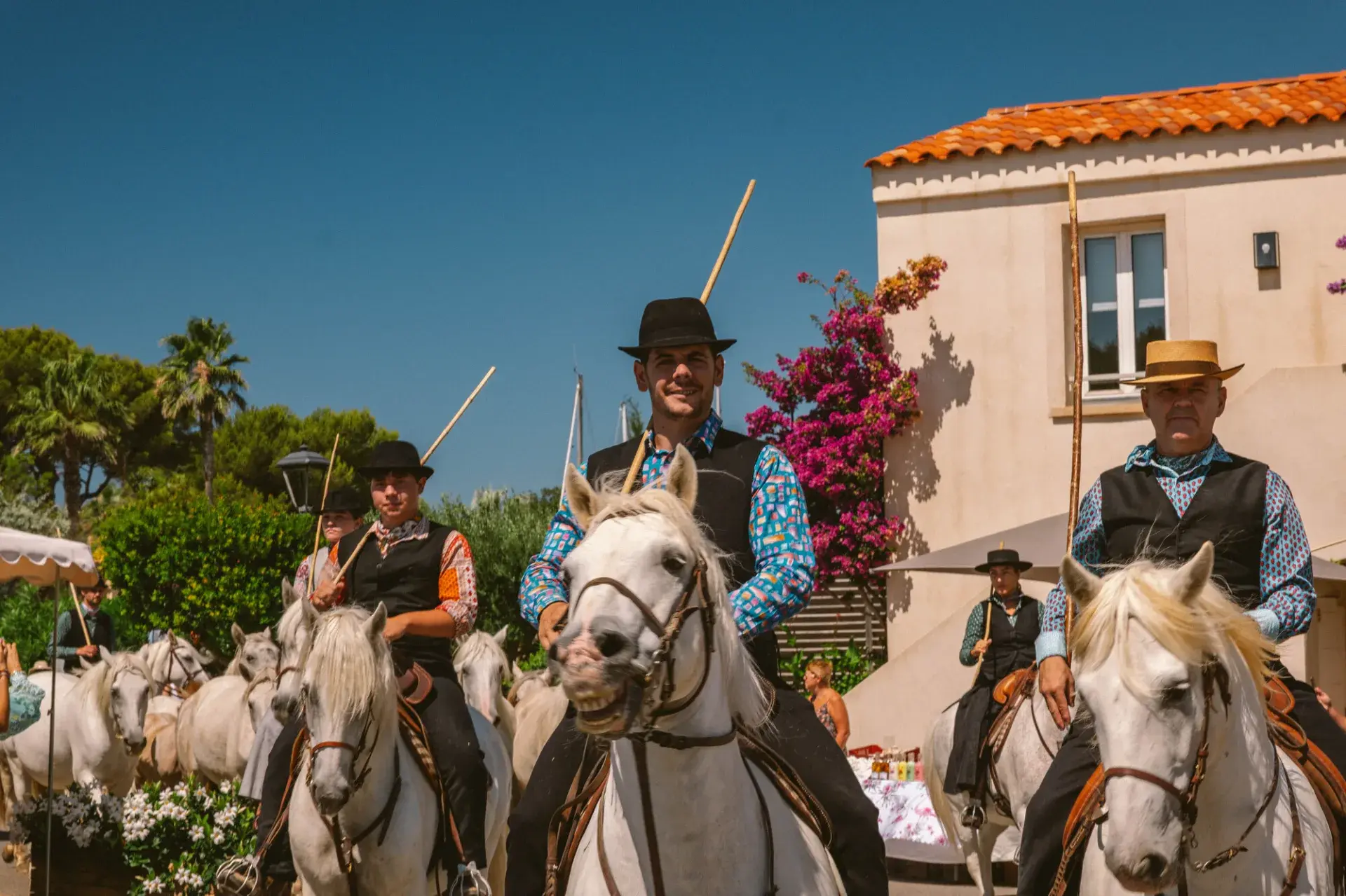 La Camargue aux Embiez