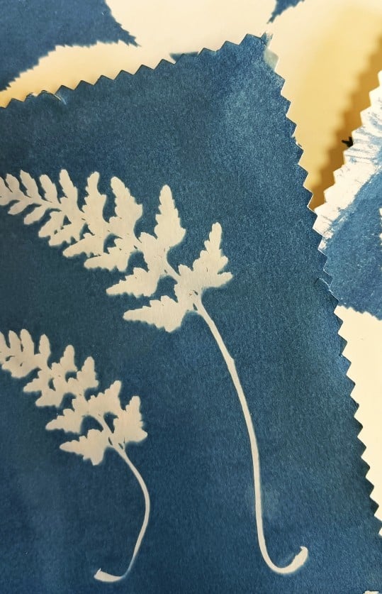 Atelier cyanotype
