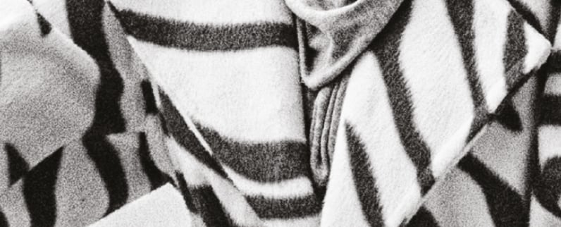 Club de lecture des Francophonies