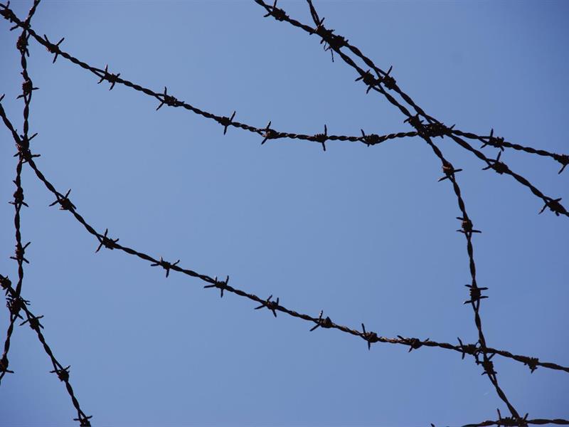 Exposition : Against forgetting