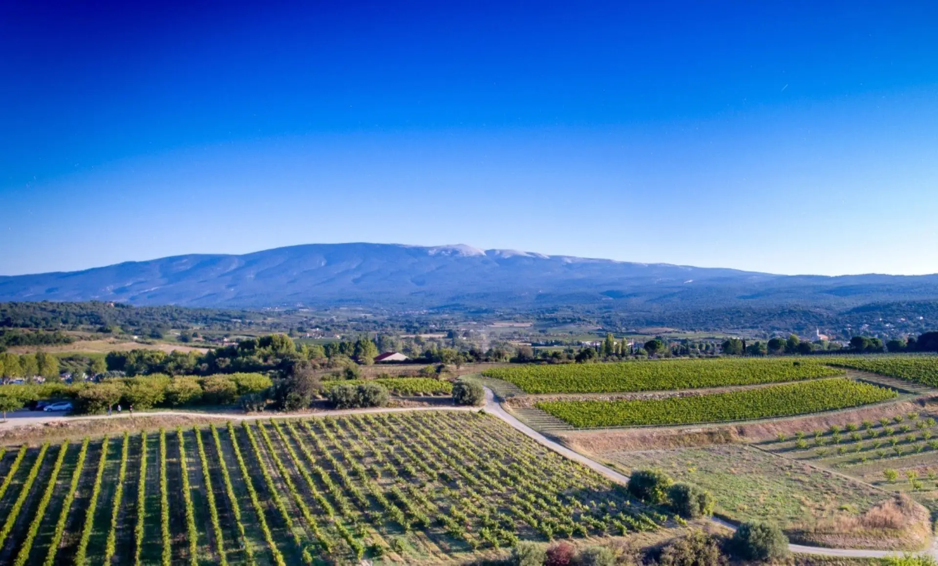 Festival Ventoux Saveurs : Balade vigneronne et dégustation
