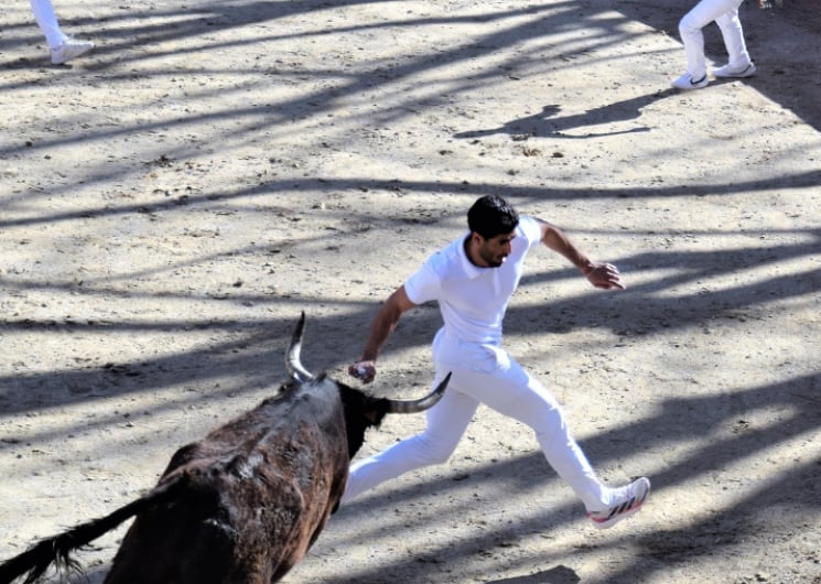 Course camarguaise Trophée de l’Avenir