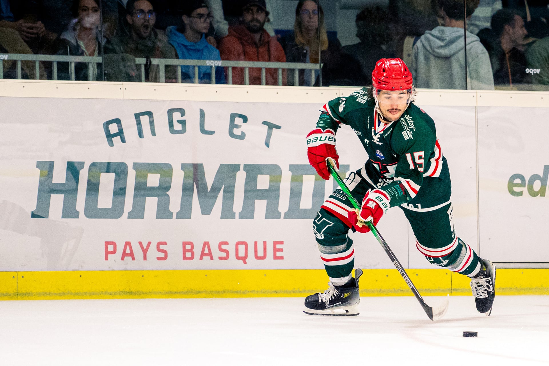 Hockey sur glace : Anglet Hormadi - Brûleurs de Loups de Grenoble