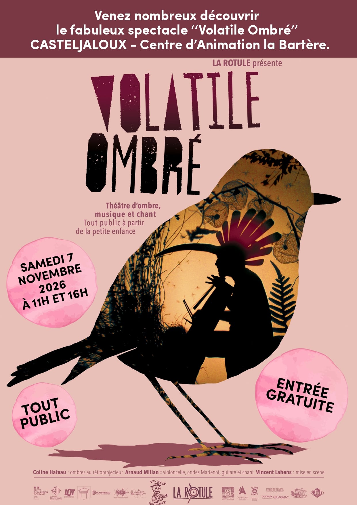 Spectacle "Volatile ombré"