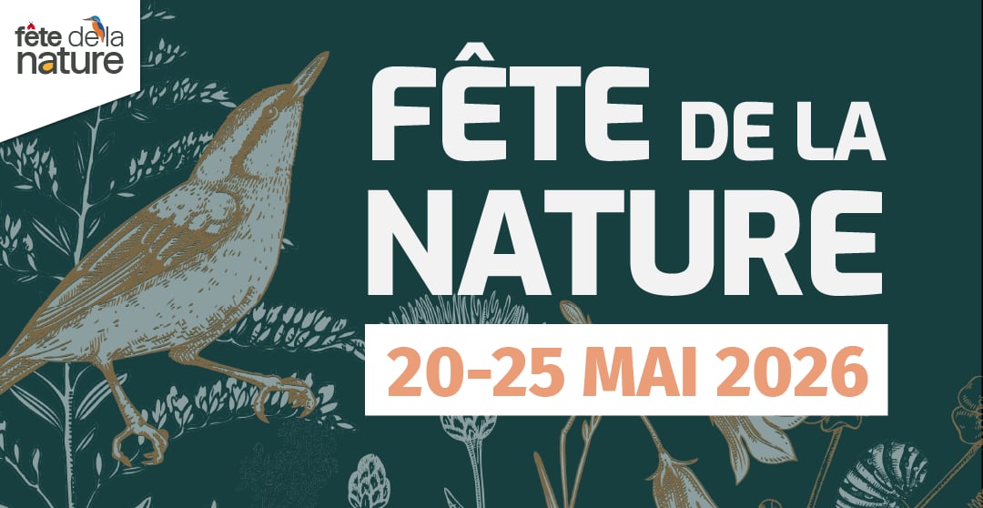 Goûter ludique et artistique autour de la nature