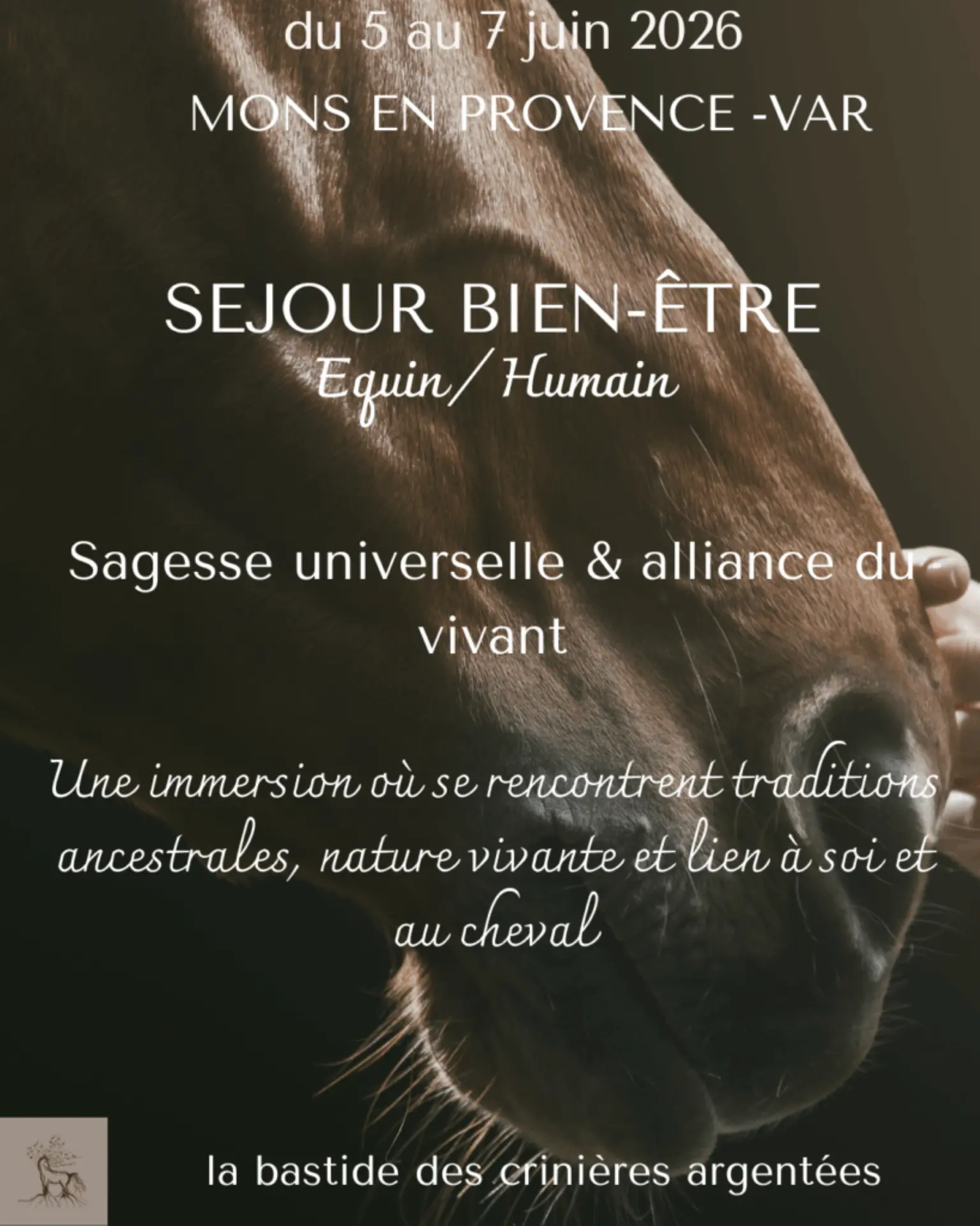 Stage Bien Etre Equin & Humain