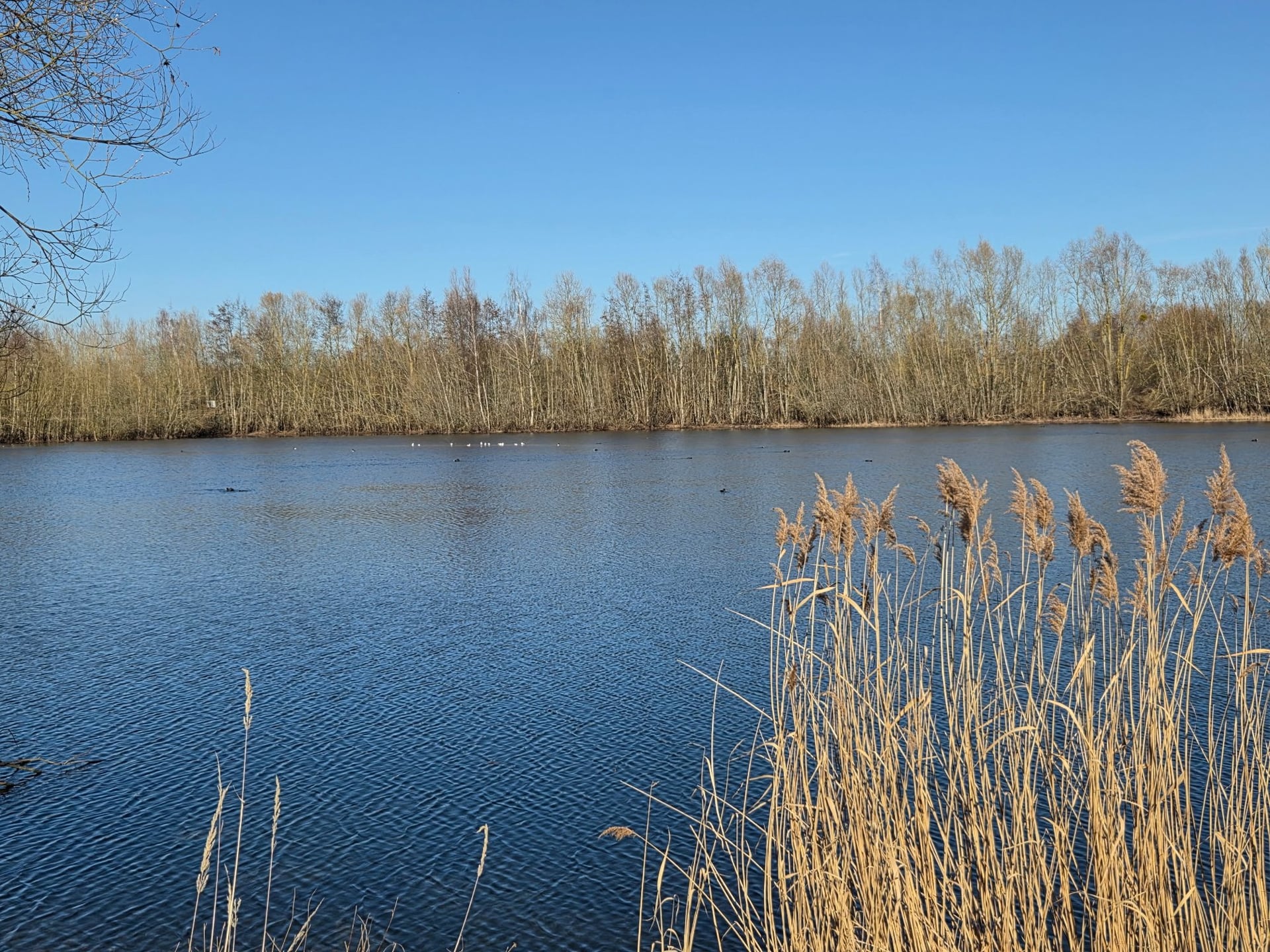 La vie du Trou Boully en automne