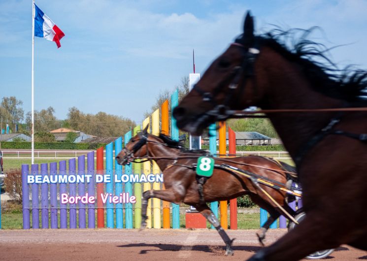 Courses hippiques – 14h