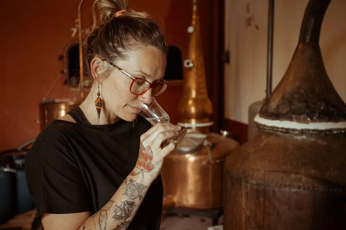 Visite et dégustation : alambics & spiritueux , distillons !