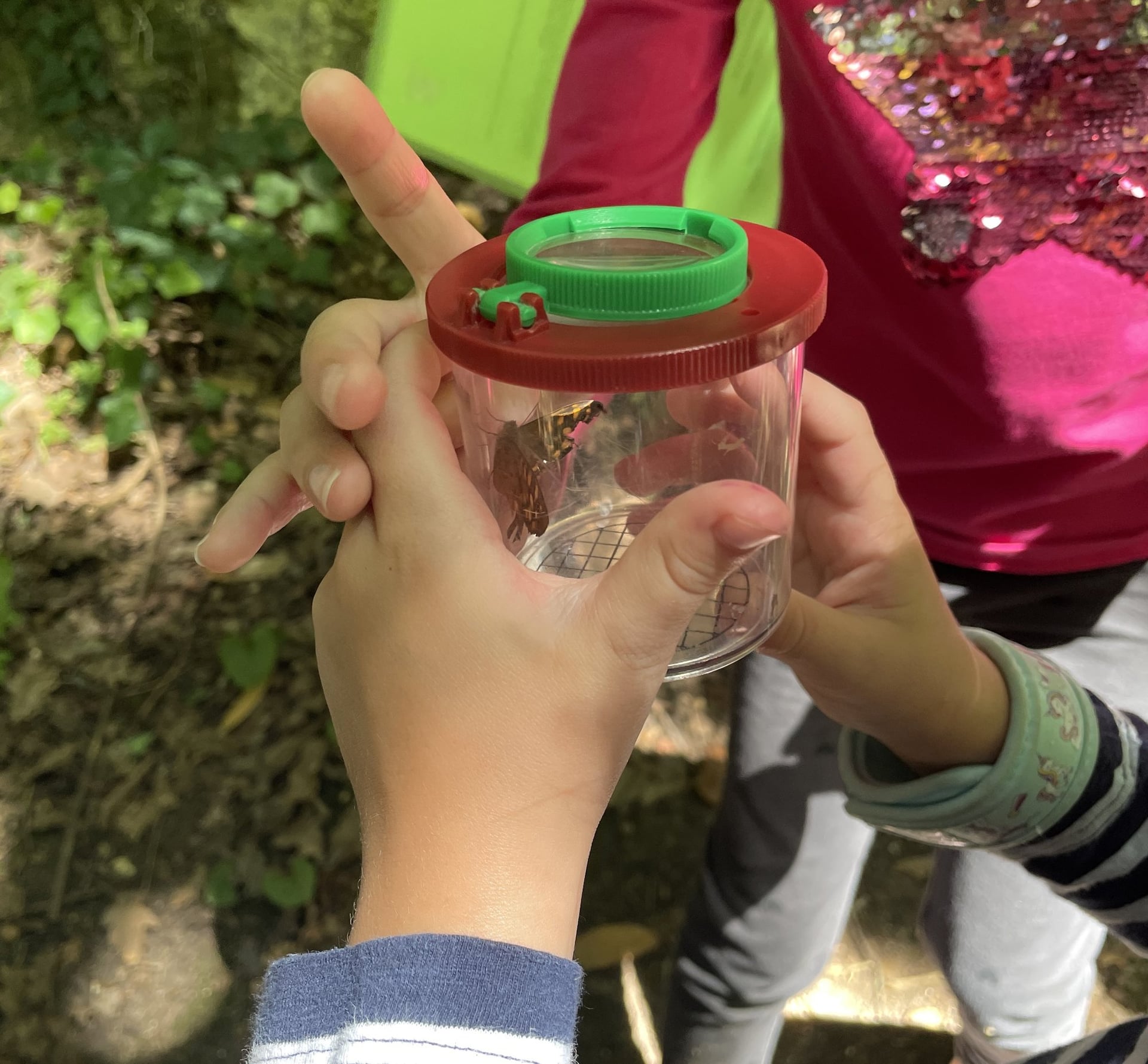 Garenne secrète, voyage au cœur de l’ancien domaine royal