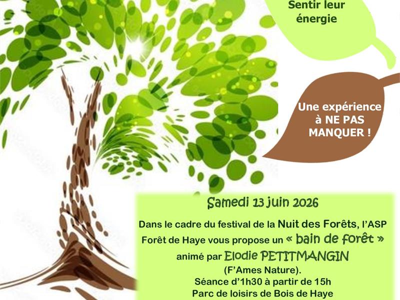Nuits des forêts - Bain de forêt - Forêt de Haye