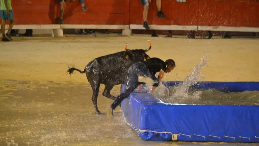 Taureau - piscine et clowns