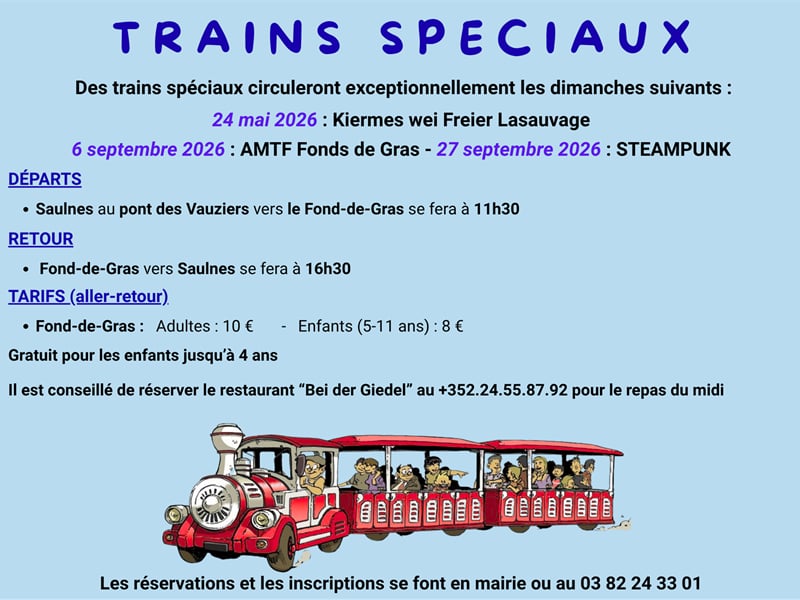 Train spécial pour la journée Convention Steampunk