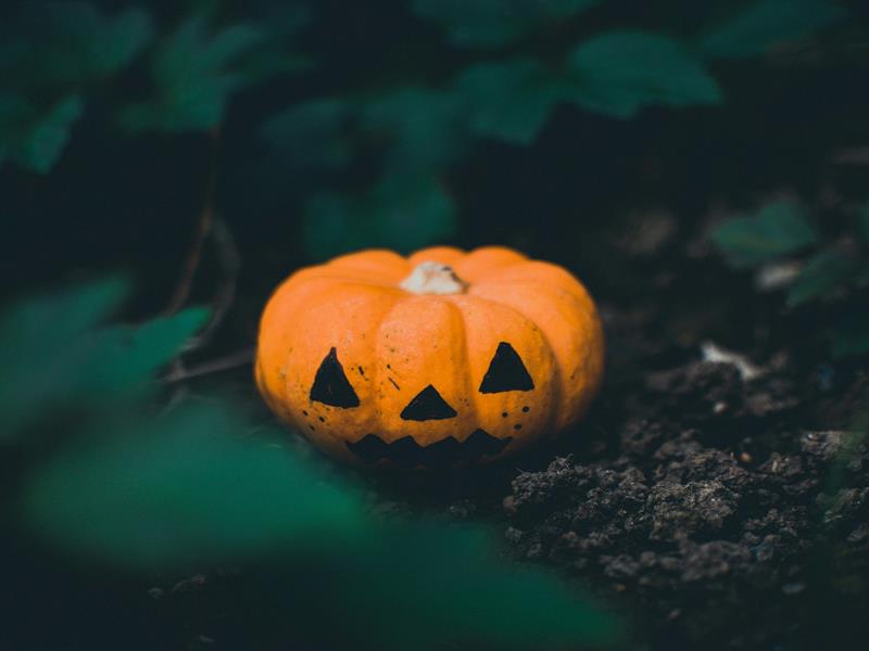 Visite-atelier - Danse macabre