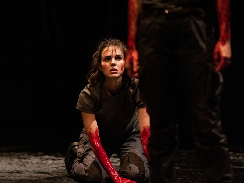 Iliade (adapté du texte d'Homère)