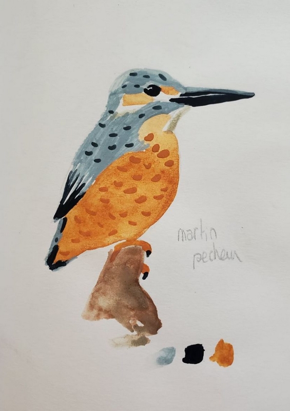 Exposition Oiseaux en couleur