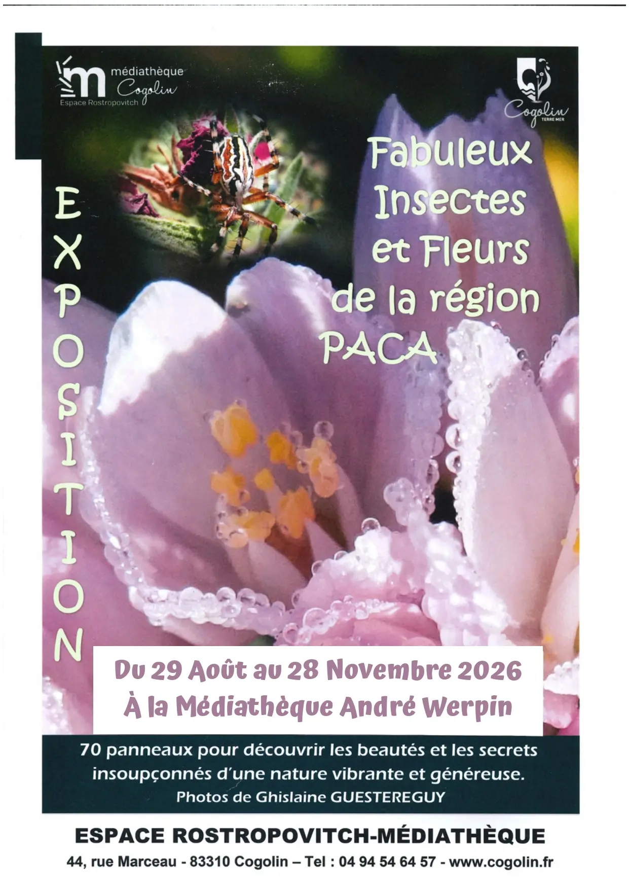 Exposition Fabuleux insectes et fleurs de la région PACA