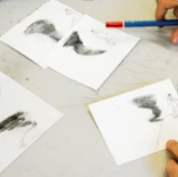 Stage artistique : cinéma d’animation