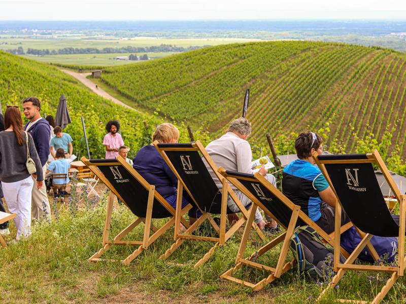 ALSACE ROCKS ! La Tournée des Terroirs - Etape #1