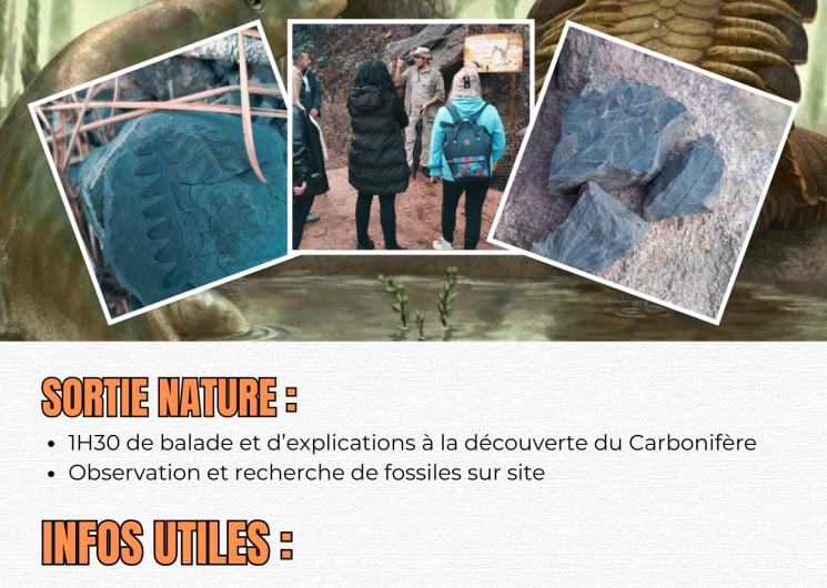 Explorez le passé de la terre : Le Carbonnifère