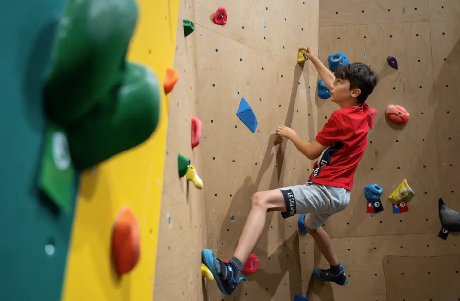 Decouverte de l'escalade au Pole sport innovation et cabane dans la foret