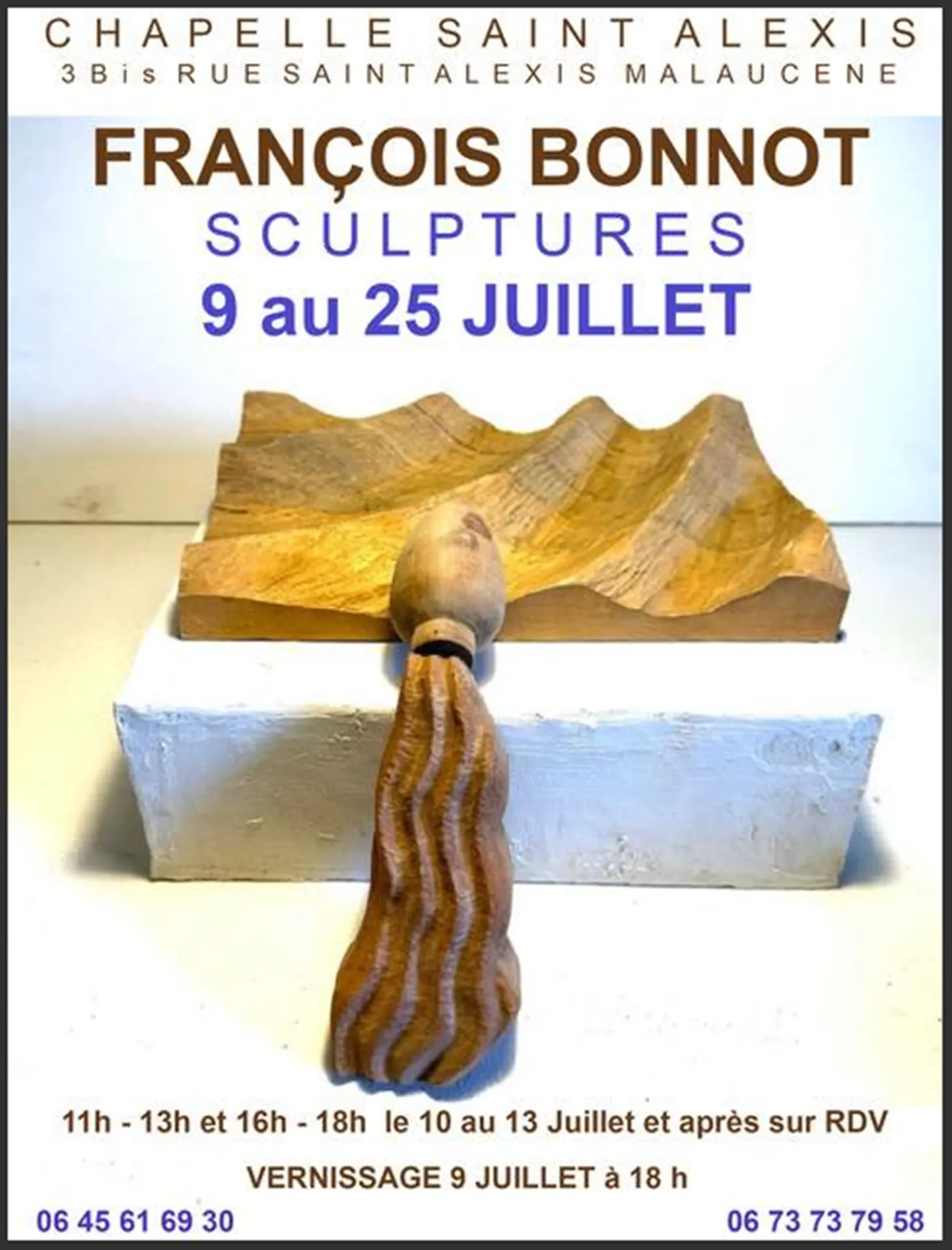 Exposition des sculptures de François Bonnot