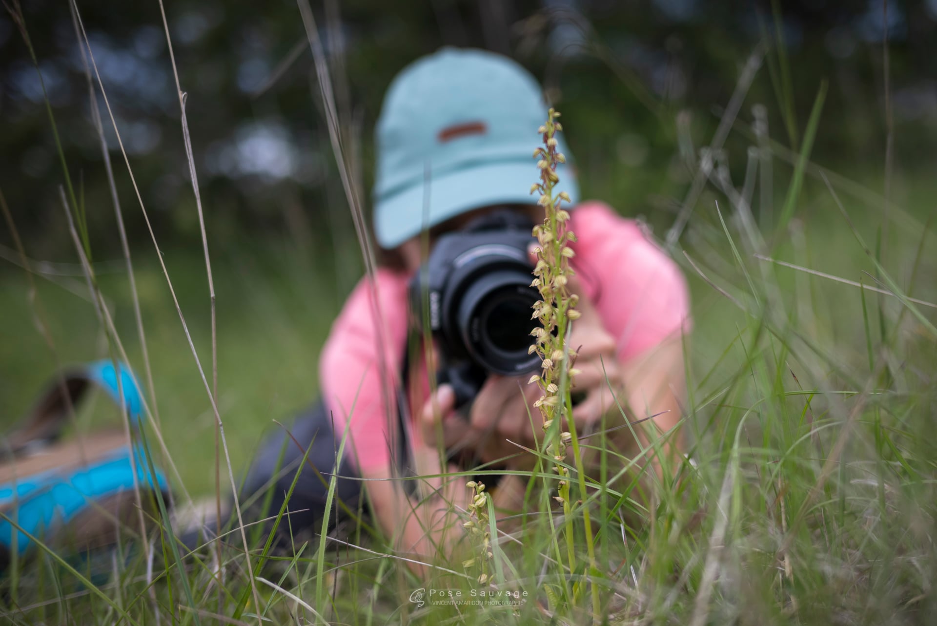 Rando patrimoine - Objectif orchidées sauvages