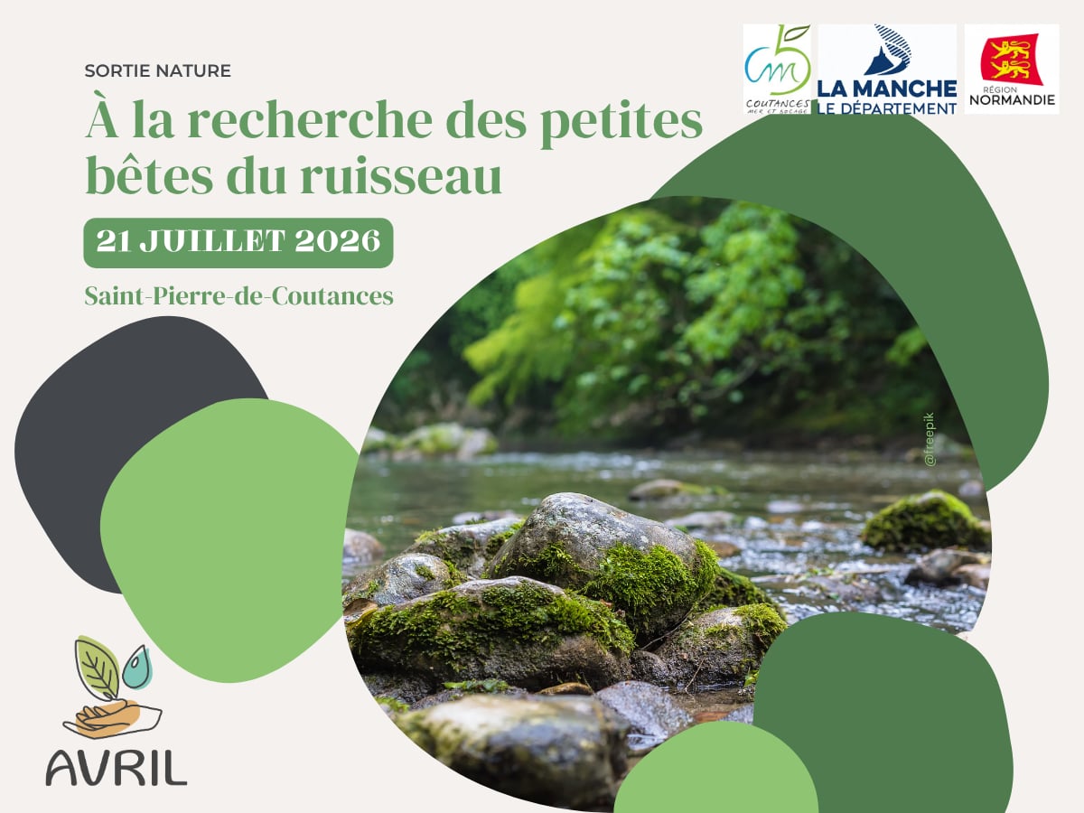 A la recherche des petites bêtes du ruisseau