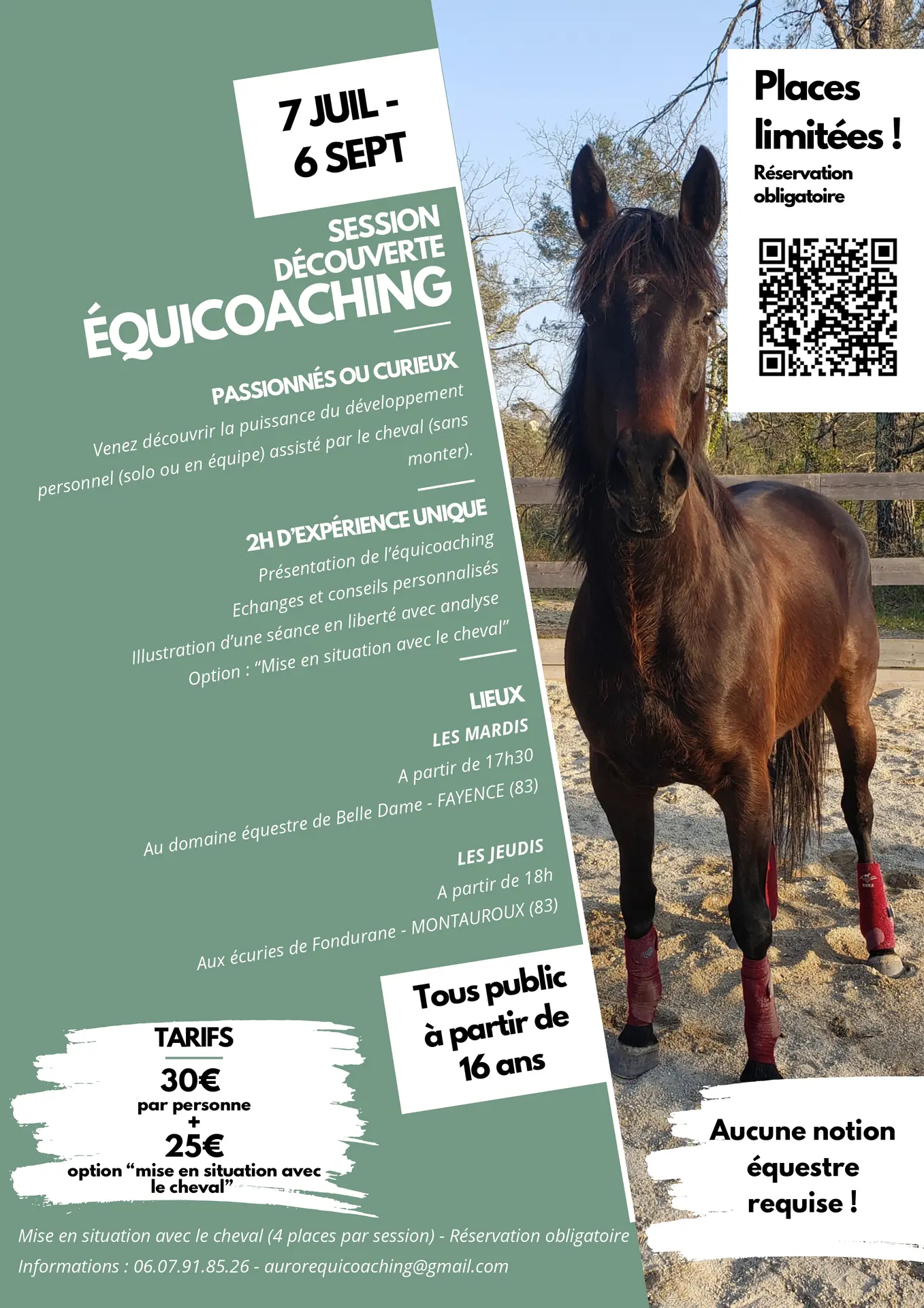 Session découverte équicoaching