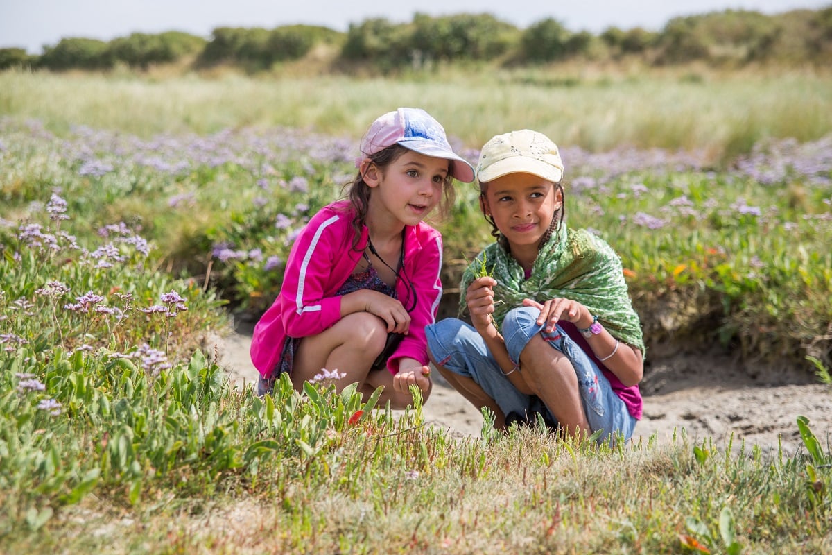 Sortie nature : Petit aventurier dans le havre