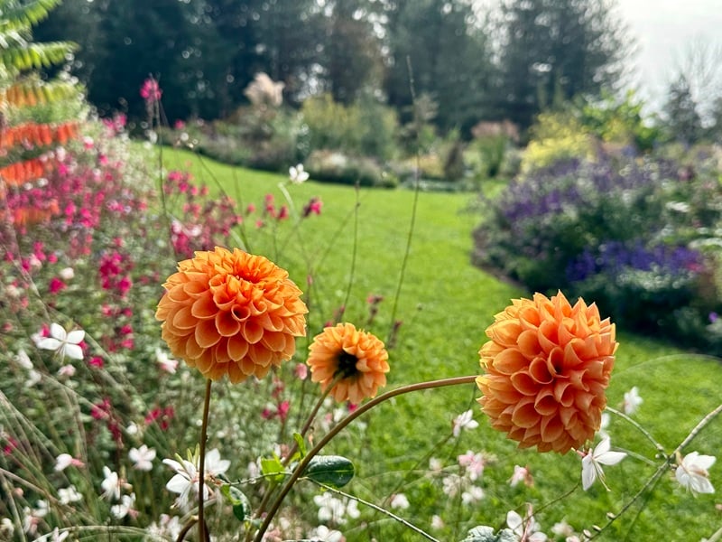 Déambulation dans un jardin extraordinaire
