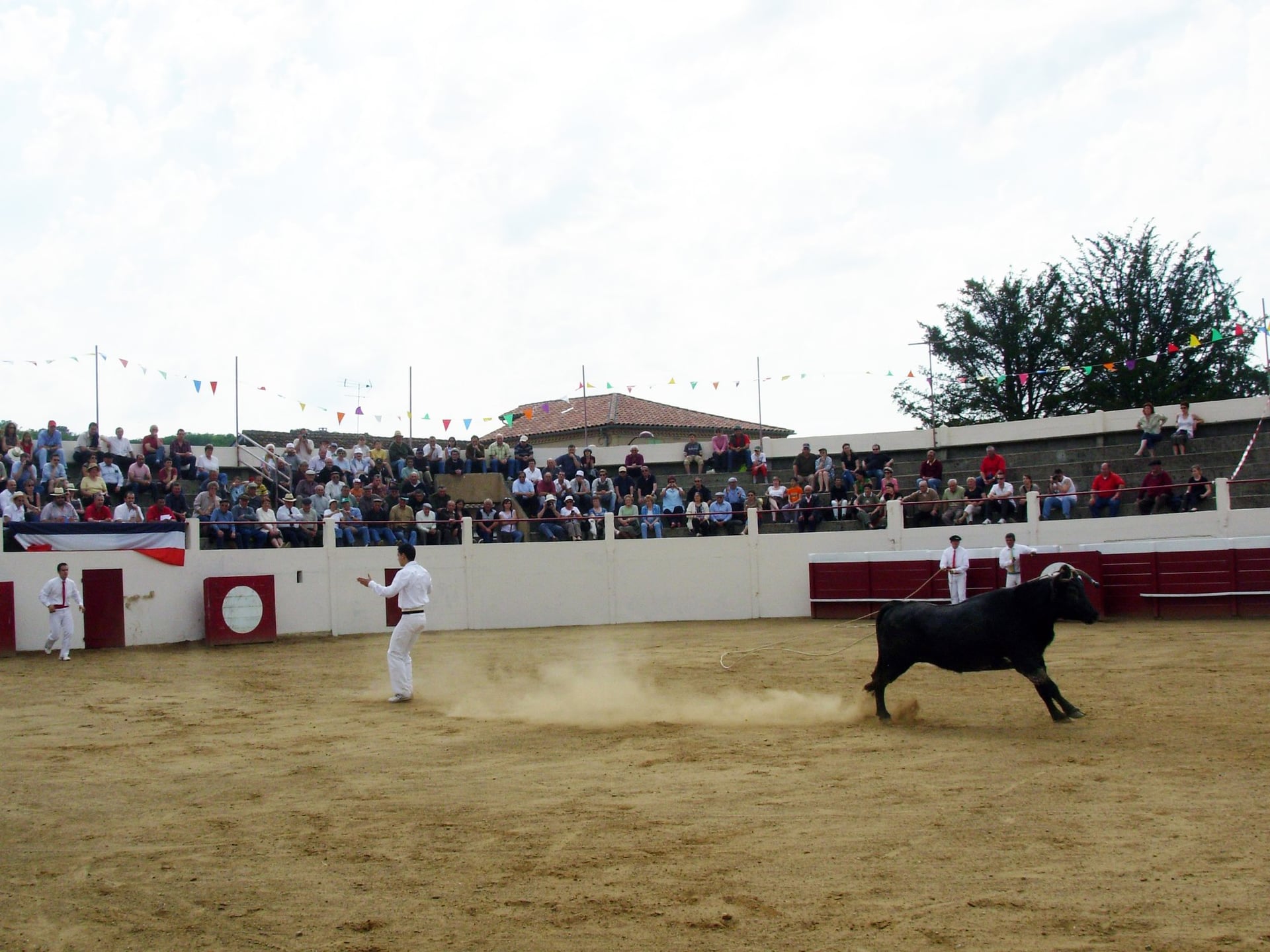 Découvrez la course landaise de l'intérieur avec un ambassadeur passionné