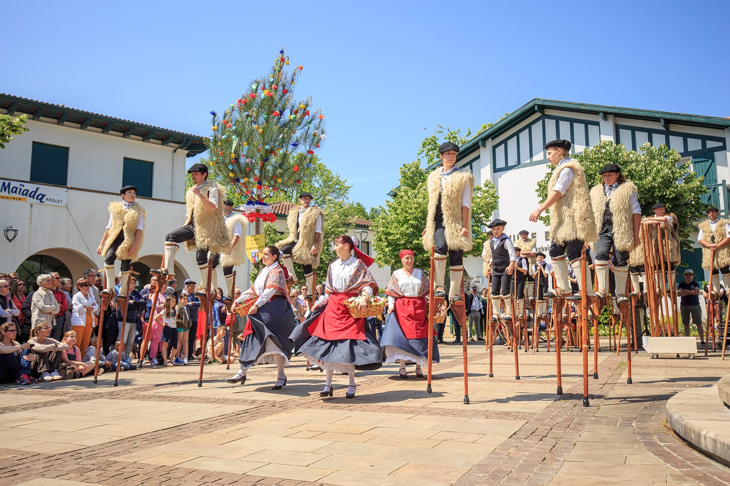 Maiada, Le mai gascon