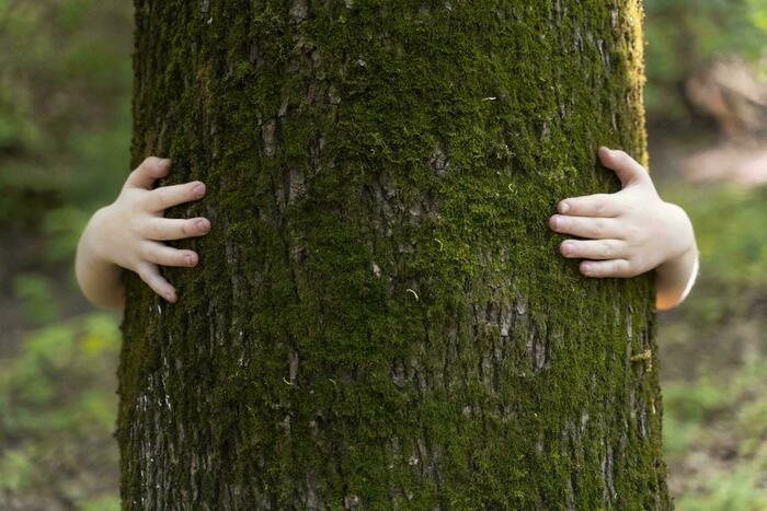 La chasse au trésor nature des tout petits