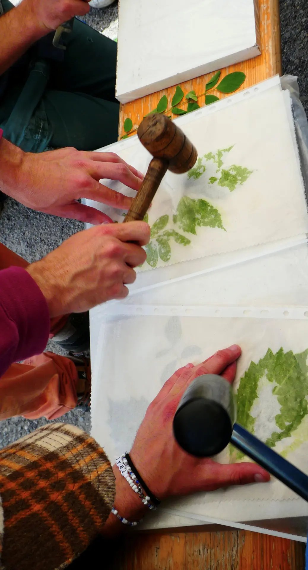 Atelier d'impression végétale