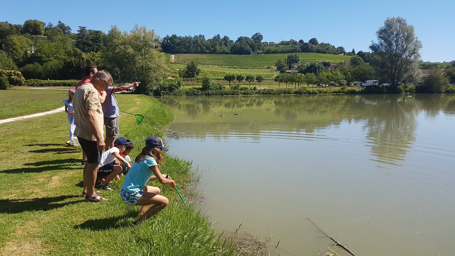 Atelier des p'tits curieux "Les petites bêtes dans l'eau"