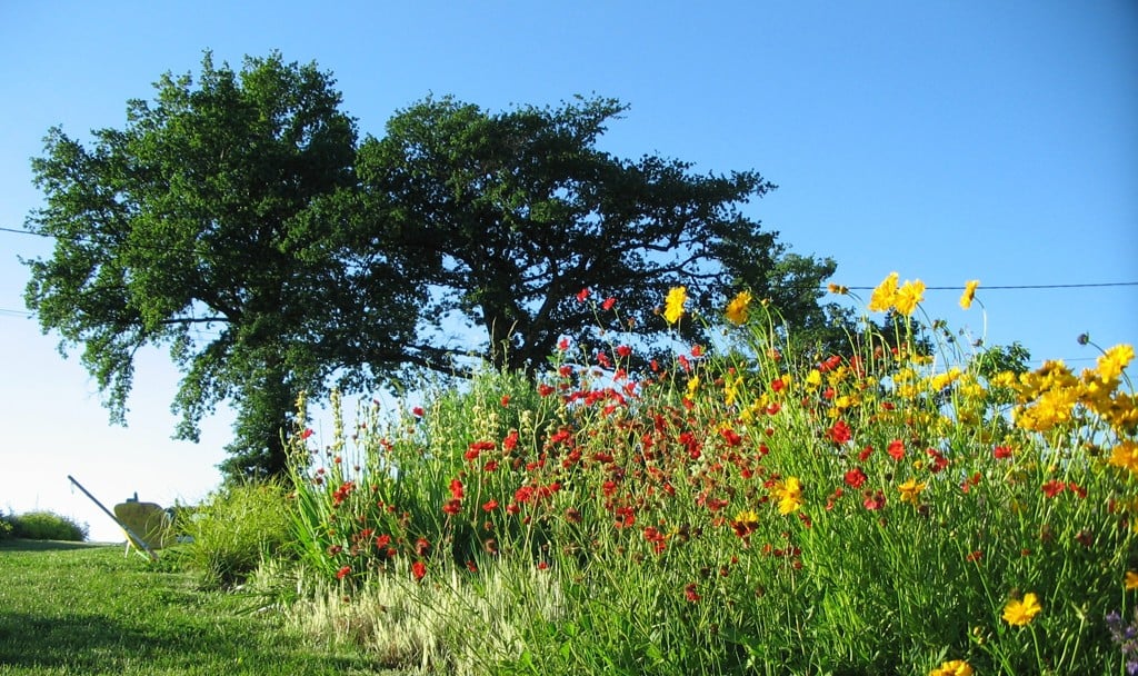 Journées Nationales de l'agriculture - visite de la ferme du Jardin de Beyssin