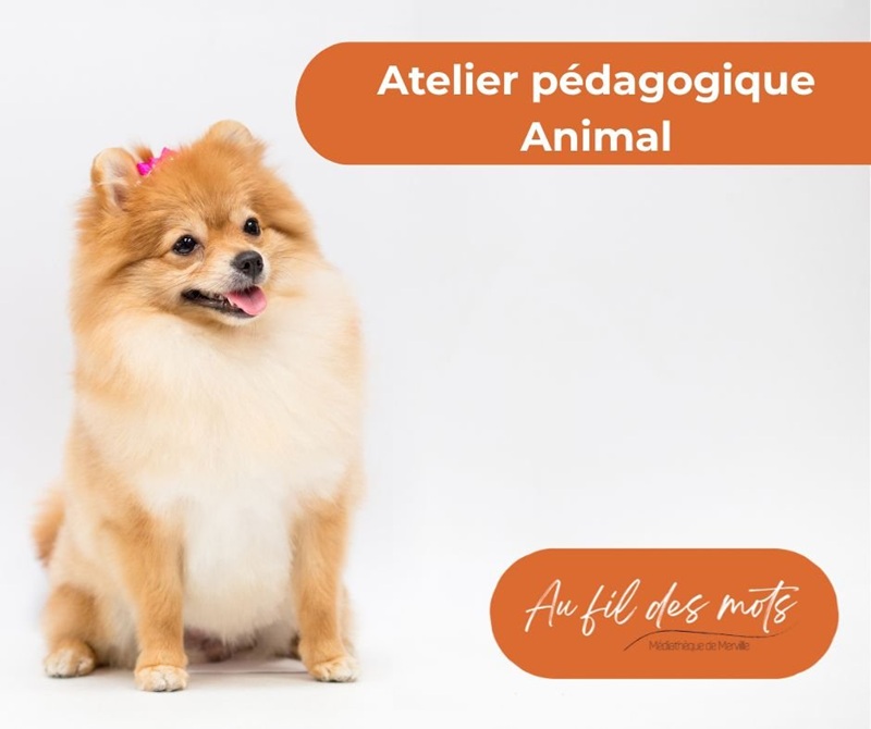 MÉDIATION ANIMALE : LE CHIEN (4/6 ET 7/10 ANS)
