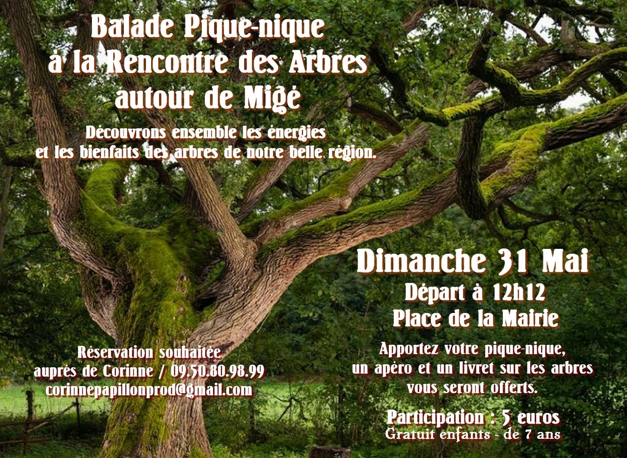 Balade Pique-nique à la rencontre des Arbres à Migé