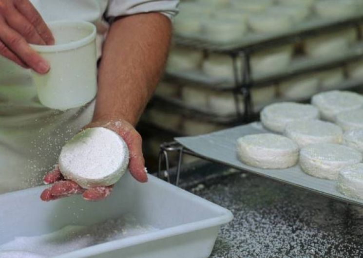 ATELIER – J’APPRENDS A FAIRE DU FROMAGE
