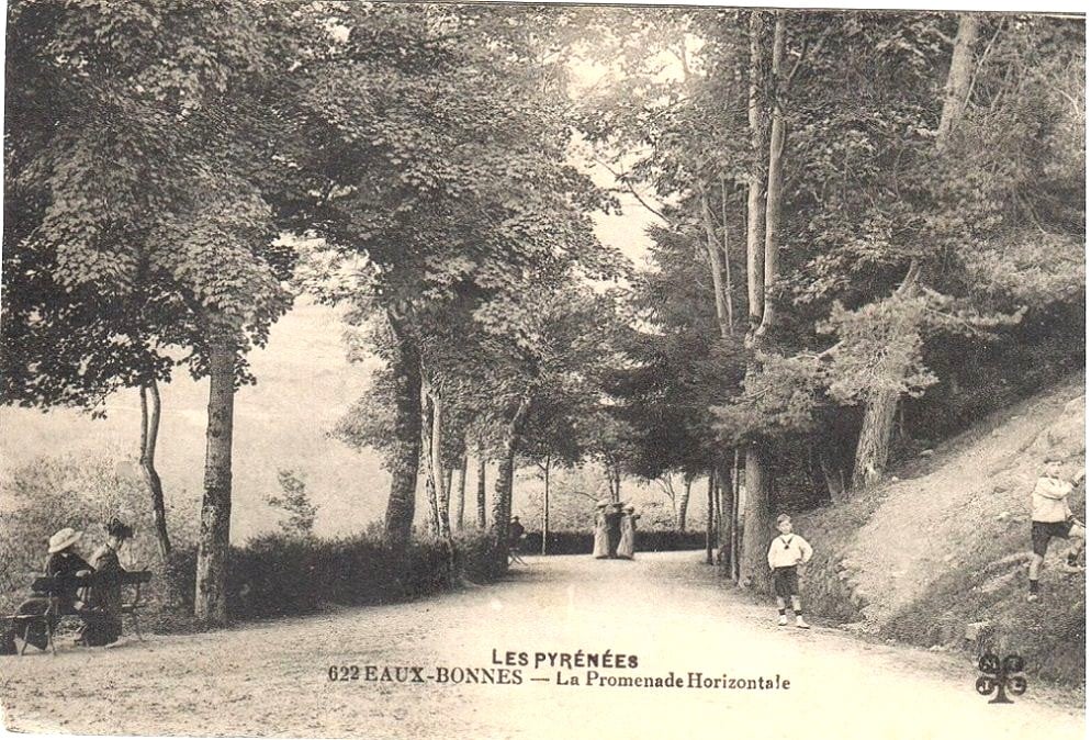 Randonnée sur la Promenade Horizontale des Eaux Bonnes : l'histoire de la forêt pyrénéenne et des arbres de l'Impératrice