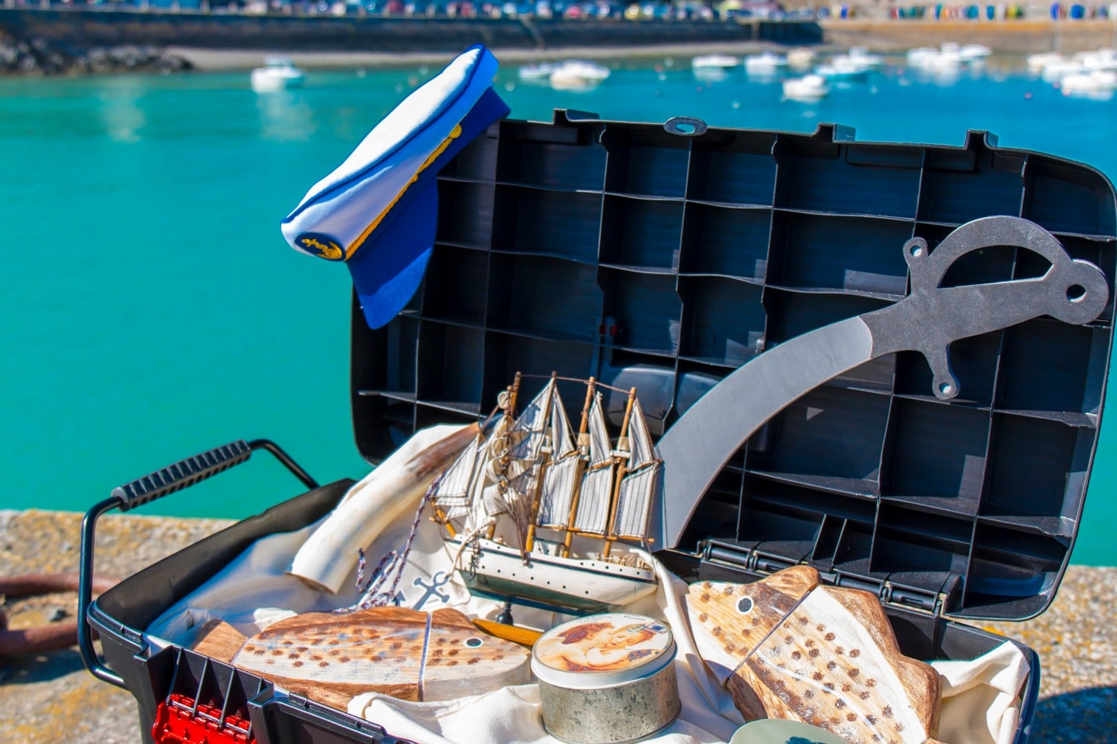 Jeu-découverte « Les P’tits Terre-Neuvas »