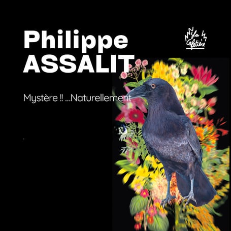 EXPOSITION - PHILIPPE ASSALIT
