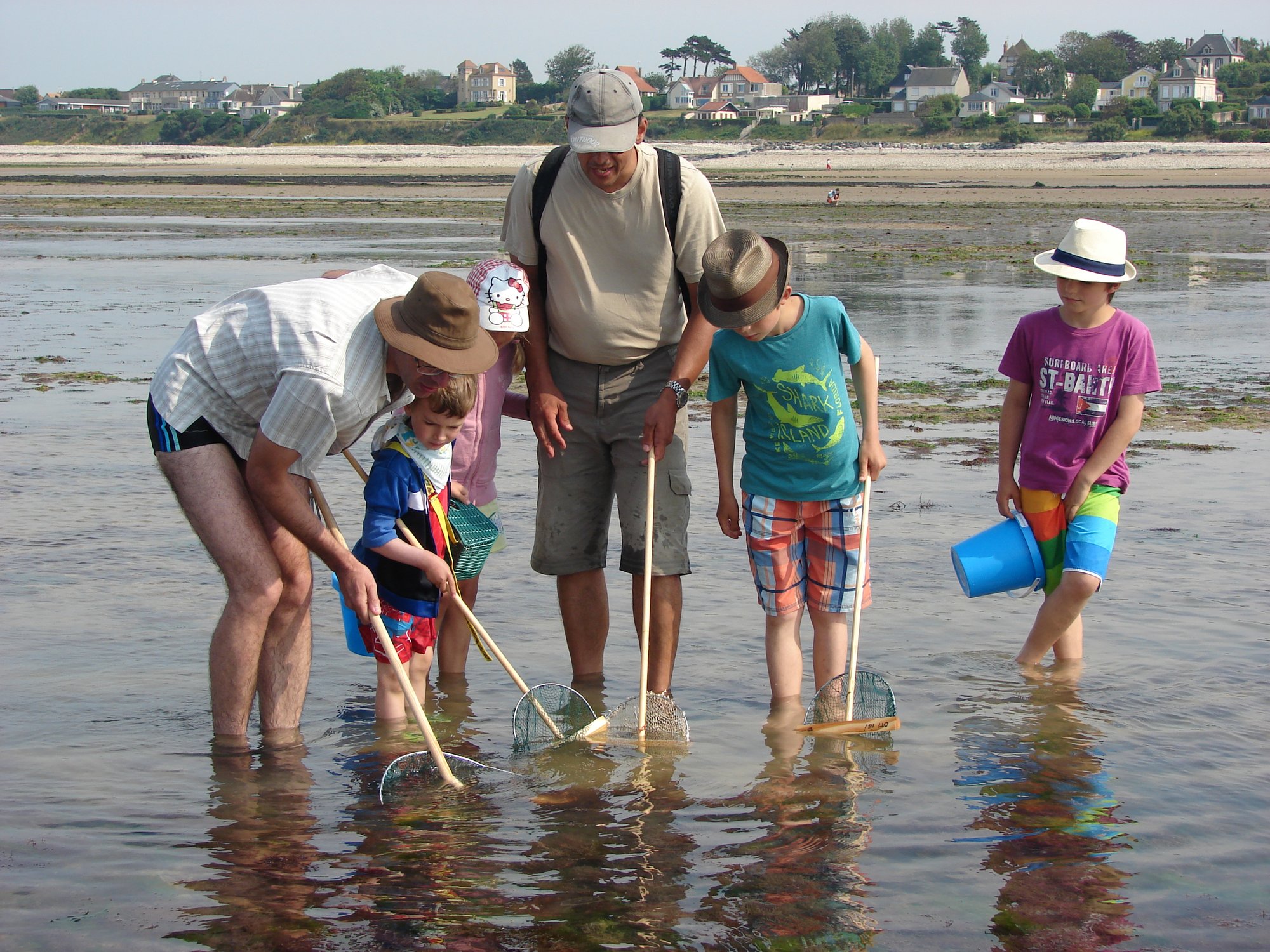 Atelier familles "A vos épuisettes ! découverte des trésors du littoral"