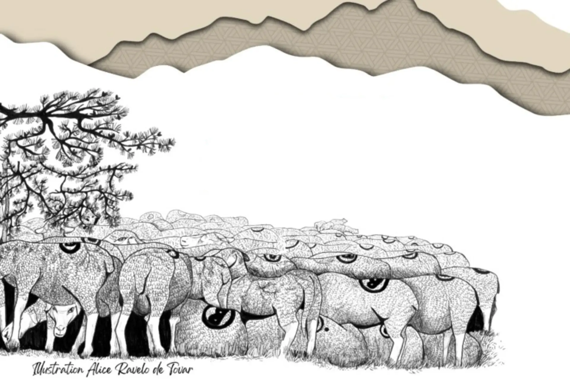 Inauguration de l'exposition « Où vas-tu Berger(ère) ? Transhumance et société »