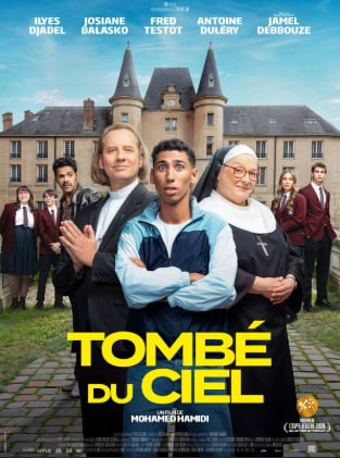 Cinéma Arudy : Tombé du ciel